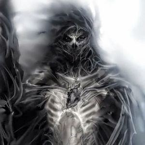 Meet your Posher, Beau